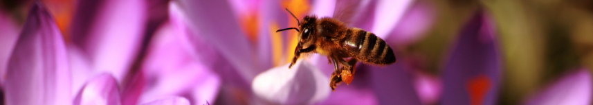 Basilika Benediktbeuern